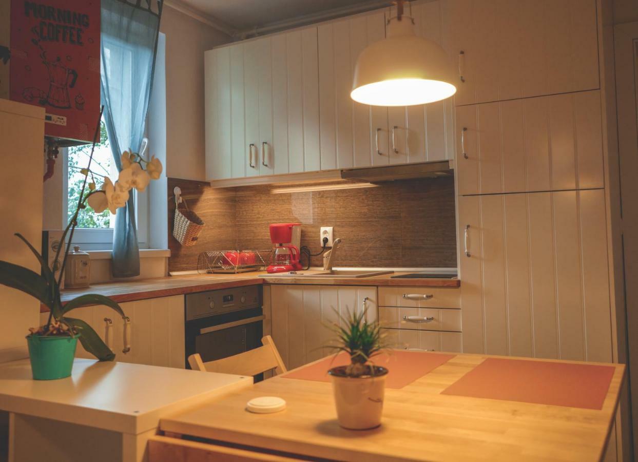 Comfy Apartment Sighişoara Exteriör bild